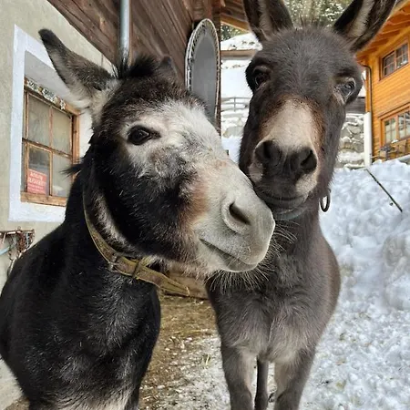Alpenfrieden